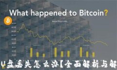 冷钱包U盘丢失怎么办？全面解析与解决方案