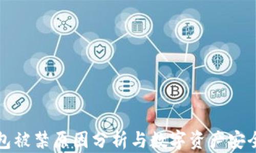 
TP钱包被禁原因分析与数字资产安全指南