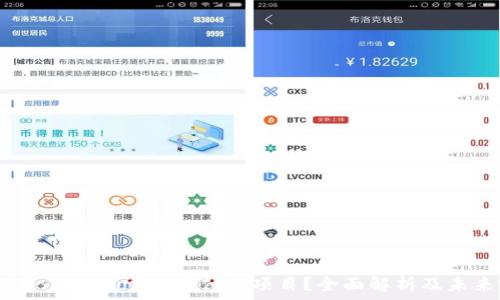   
派币（Pi Network）是什么项目？全面解析及未来前景
