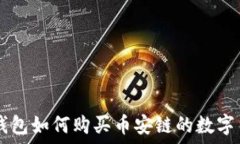   TP钱包如何购买币安链的数字货币